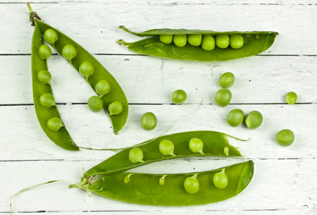 Green Peas for pea protein
